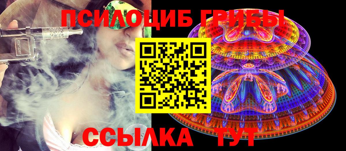 Алексин  Галлюциногенные грибы мицелий  Вход с VPN 