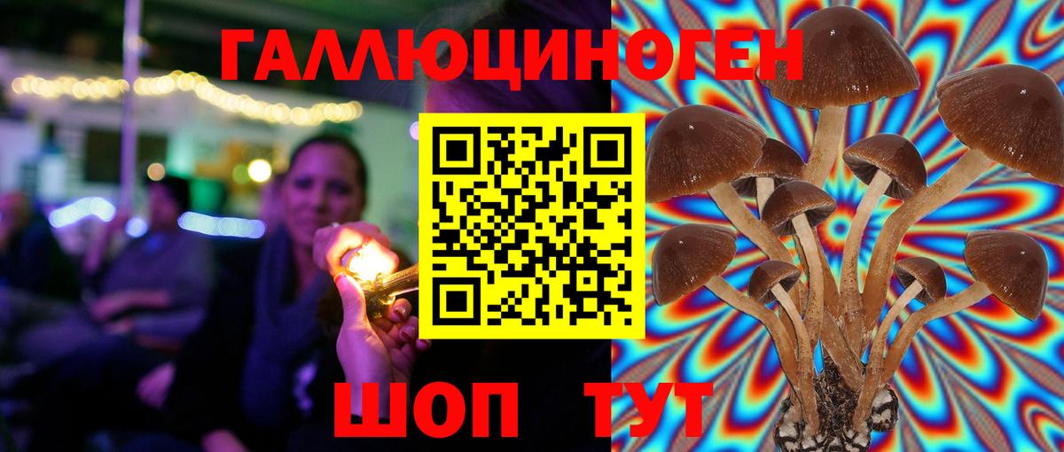 Галлюциногенные грибы мицелий Алексин